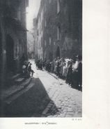 1910 - Iconographie - Belgentier (Var) - La Rue Peirèsc - FRANCO DE PORT - Non Classés