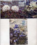 GREENLAND 1990 Flowers II On Three Maximum Cards.  Michel 205-07 - Maximum Cards