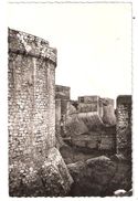 SALSES, Pyrénées Orientales ; Le Fort ; Les Fossés Coté Sud ; 1952 , TB - Salses