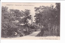 CARQUEFOU - Route De Sucé: Le Pont De Charbonneau - Carquefou