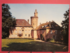 54 - Environs De Cirey Sur Vezouze - Le Château De Châtillon - Scans Recto-verso - Cirey Sur Vezouze