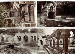 Lot 4 Cpm - 29 - Daoulas - Fontaine Ancienne Abbaye - Cloître - Vasque De Granit - Daoulas