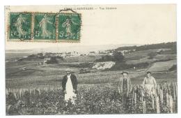 CPA ANIMEE RILLY LA MONTAGNE, VUE GENERALE, ANIMATION DANS LES VIGNES AU PREMIER PLAN, MARNE 51 - Rilly-la-Montagne