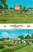 275955-Minnesota, Saint Paul, Lake & Pines Motel, Curteichcolor No 6C-K178 - St Paul