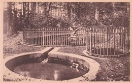 Delcampe - Beloeil - La Belle Baigneuse (Les Trois Fontaines Du Parc) - Belöil