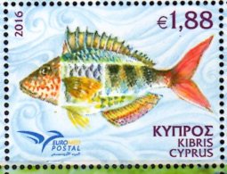 2016 Cyprus / Zypern - Fishes Of Middeteranean - Euromed POstal Joint 2016 - 1v Paper - MNH** - Pesci