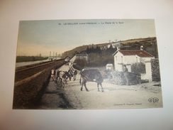 6apf -  CPA N°10 - LE CELLIER - La Route De La Gare - [44] Loire Atlantique  - - Le Cellier