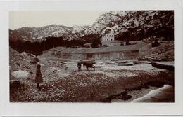 CPA Marseille Non Circulé Ane Carte Photo Léon PEYTAUD Cachet à Sec - Canebière, Centre Ville