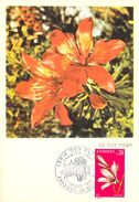 ANDORRE FRANCAIS  CARTE MAXIMUM  NUM.YVERT  229 FLORE FLEUR LYS - Maximum Cards