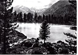 Lago Di Saoseo Valle Di Campo-Poschiavo (Carte Grand Format) - Poschiavo