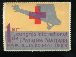 Vignette 1er Congrès International De L'aviation Sanitaire Paris 15 20 Mai 1929 Excellent état Gomme Avec Charnière - Aviation