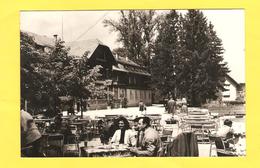 Postcard - Slovenia, Čateške Toplice      (V 32760) - Slovenia