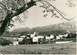 Nans-les-Pins  Vue Générale Au Fond La Chaine De La Ste-Beaume  Cpsm Format 10-15 - Nans-les-Pins