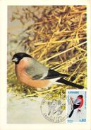 ANDORRE FRANCAIS  CARTE MAXIMUM  NUM.YVERT  241 FAUNE OISEAU  BOUVREUIL - Maximumkarten (MC)