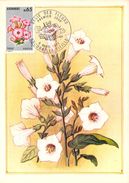 ANDORRE FRANCAIS  CARTE MAXIMUM  NUM.YVERT  235 FLORE FLEUR TABAC - Cartes-Maximum (CM)