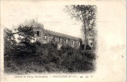 31 - VOLVESTRE --  Château De Palays Montesquieu - Verfeil