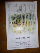 Affiche:   André Brillais   -  Exposition De Peintre   1989    63 X 42 - Posters