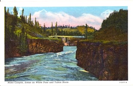 YUKON KLONDIKE WHITEHORSE - Miles Canyon Rapids Scene On White Pass - Yukon