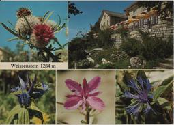 Weissenstein Kurhaus-Hotel - Blumen - Photoglob - Autres & Non Classés