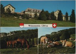 Weissenstein Kurhaus-Hotel - Pferde, Kühe - Photoglob - Autres & Non Classés