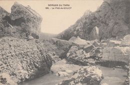 Cp , 48 , GORGES DU TARN , Le PAS-de-SOUCY - Gorges Du Tarn