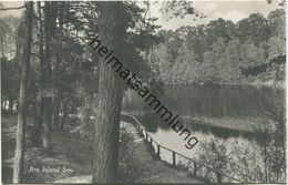 Am Ihlandsee - Foto-AK 30er Jahre - Verlag J. Goldiner Berlin - Strausberg