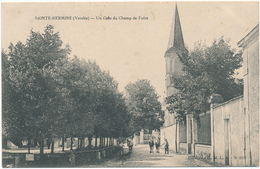 SAINTE HERMINE - Coin Du Champ De Foire - Sainte Hermine