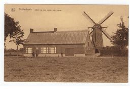 Achterbroek  - Zicht Op Den Molen Met Hoeve - Kalmthout