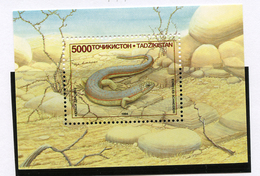 1995 - TAJIKISTAN - Mi. Nr.  BL 4 - NH -  (UP.70.10) - Tadschikistan