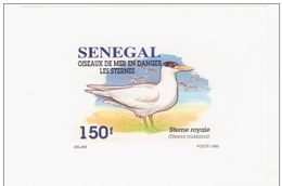 LOTE 1718   ///  (C026 )  SENEGAL 1993    PRUEBA DE LUXE  FAUNA  ¡¡¡¡¡LIQUIDATION !!!! - Senegal (1960-...)