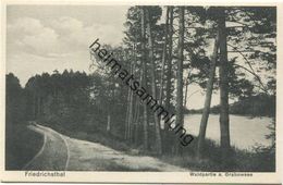 Friedrichsthal - Waldpartie Am Grabowsee 30er Jahre - Verlag Willi Mathaus Berlin - Oranienburg