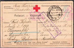 Correspondance Des Prisonniers De Guerre -:- Carte Poste Envoyée De LISKOVO Pour L'Autriche - - 1916-19 Duitse Bezetting