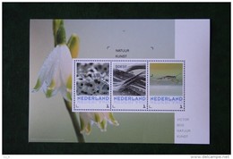 POSTSET Natuur/kunst Fotograaf Victor Bos 2016 Kikkerdril Veer Schaatsenrijder Gestempeld / Used - Used Stamps