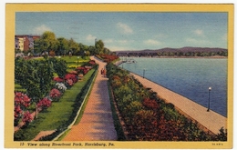 VIEW ALONG RIVERFRONT PARK - HARRISBURG - PA - 1954 - Vedi Retro - F.p. - Harrisburg
