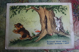 Bear And Bees  - OLD Soviet PC 1954 -  Mushroom - Champignon - Bee - Pilze