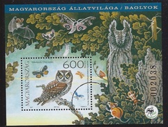 HUNGARY - 2017. S/S - Owls / Scops Owl  SPECIMEN!!!! - Prove E Ristampe