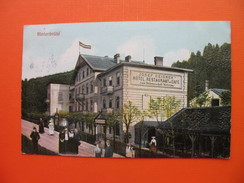 Relief Postcard.Hinterbruhl.JOSEF DEIGNER HOTEL RESTAURANT&CAFE - Mödling