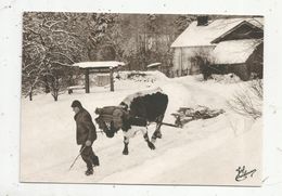 Reproduction D'une Cp, 1991 , Métier , Les Vieux Métiers , LE CHASSE NEIGE , LES VOSGES - Altri & Non Classificati