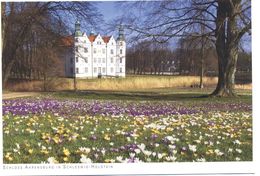 GERMANIA - GERMANY - Deutschland - ALLEMAGNE - Ahrensburg Castle In Schleswig-Holstein - Schloss - Not Used - Ahrensburg