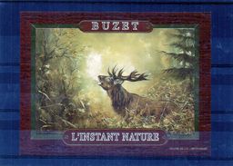 CERF - L'Instant Nature - Cervi