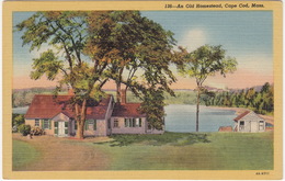 An Old Homestead, Cape Cod, Mass. -  (USA) - Cape Cod