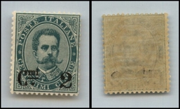 10410 REGNO - 1891 - Coda Sottile - 2 Cent Su 5 (56b) Gomma Integra (270) - Autres & Non Classés