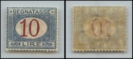 10662 REGNO - SERVIZI - 1893 - 10 Lire (28 - Segnatasse) - Gomma Integra (325) - Autres & Non Classés