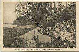 Alt-Buchhorst - Partie Bei Der Spiegelquelle Am Möllen-See 1925 - Verlag W. Meyerheim Berlin - Grünheide