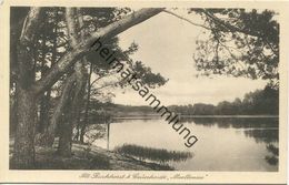 Alt-Buchhorst Bei Grünheide - Moellensee 30er Jahre - Verlag Louis Bernsee Erkner - Gruenheide