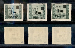 11167 OCC.JUGOSLAVA - ISTRIA - 1946 - Segnatasse Soprastampati (8a/10a) - 3 Valori Della Serie - Punto Tondo Invece Di R - Altri & Non Classificati