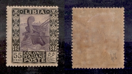 11399 COLONIE - LIBIA - 1921 - 55 Cent Pittorica (29) - Nuovo Con Gomma (40) - Autres & Non Classés