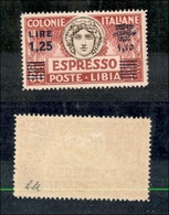 11447 COLONIE - LIBIA - 1936 - 1,25 Lire Su 60 Cent Espresso (17) - Nuovo Con Gomma (30) - Autres & Non Classés