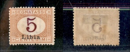 11458 COLONIE - LIBIA - 1915 - 5 Cent Segnatasse (1A) - Cifra Di Colore Diverso - Nuovo Con Gomma - Autres & Non Classés