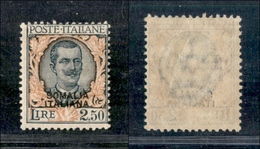 11575 COLONIE - SOMALIA - 1926/1930 - 2,50 Lire Floreale Soprastampato (102) - Nuovo Con Gomma (70) - Autres & Non Classés